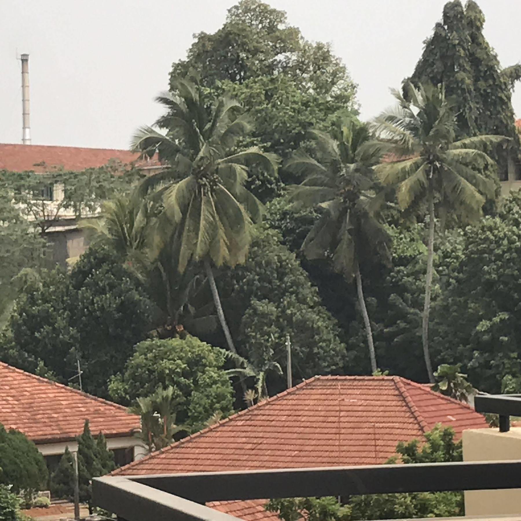 Saninro Hotel - Ragama Kültér fotó